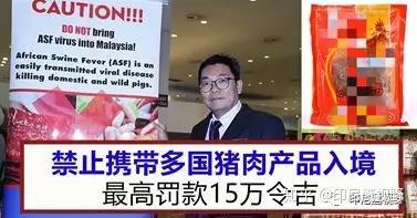 印尼猪瘟最新爆料,最新爆料揭示严峻形势