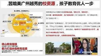 怎样爆料佛山的新闻,聚焦城市热点，揭示社会现象